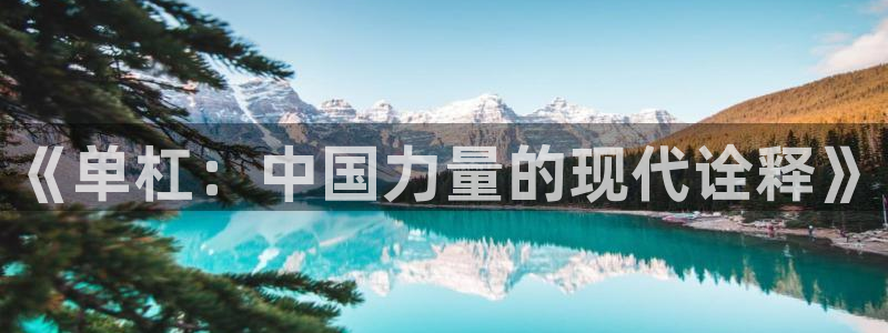 新球体育充值提现多久到账：《单杠：中国力量的现代诠释》