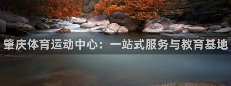 新球体育日乙积分榜：肇庆体育运动中心：一站式服务与教育基地