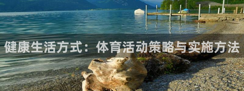新球体育成为分析师：健康生活方式：体育活动策略与实施方法
