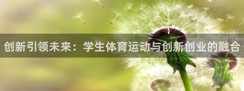 新球体育比分网官网：创新引领未来：学生体育运动与创新创业的融合