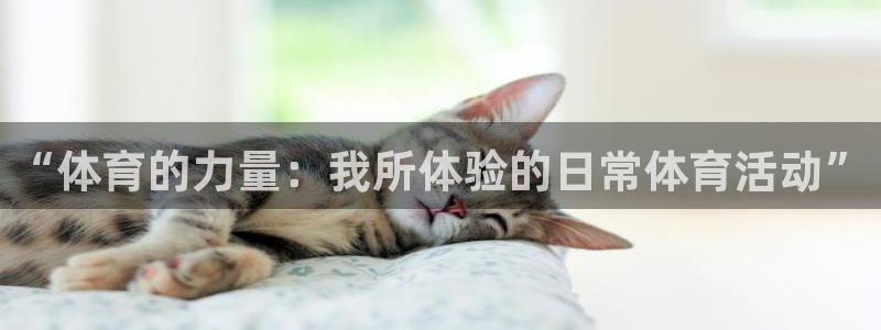新球体育如何提现：“体育的力量：我所体验的日常体育活动”