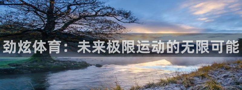 新球体育APP怎么用：劲炫体育：未来极限运动的无限可能