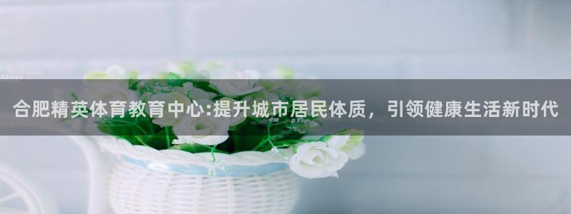 新球体育下载：合肥精英体育教育中心:提升城市居民体质，引领健康生活新时代
