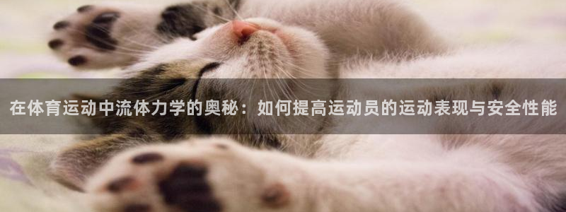 新球体育直播：在体育运动中流体力学的奥秘：如何提高运动员的运动表现与安全性能