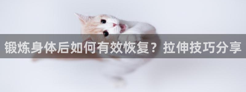 新球体育足球比分：锻炼身体后如何有效恢复？拉伸技巧分享
