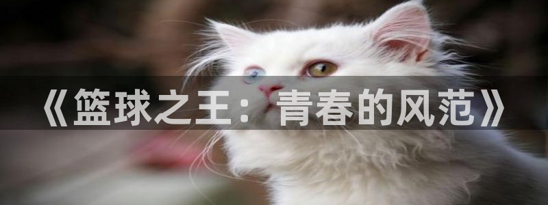 新球体育可以分享别人下载嘛：《篮球之王：青春的风范》